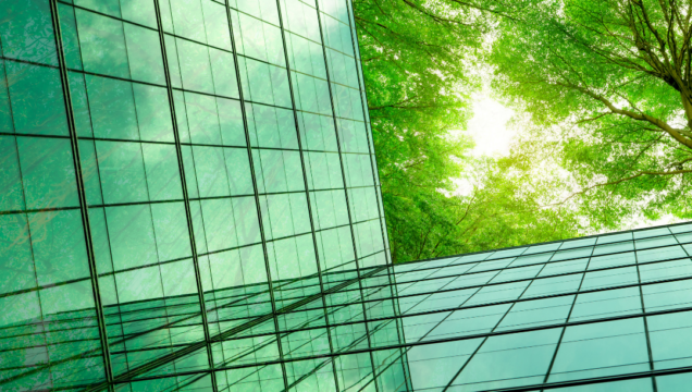 Tips to Improve Sustainability in the Workplace for 2025